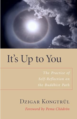 It's Up to You: The Practice of Self-Reflection on the Buddhist Path [Paperback]