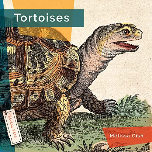 Tortoises [Paperback]