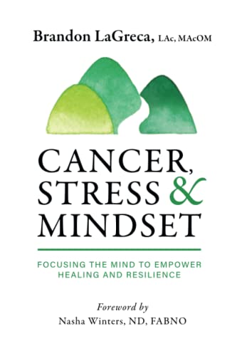 Cancer, Stress & Mindset  Focusing the Mind to Empoer Healing and Resilience [Hardcover]