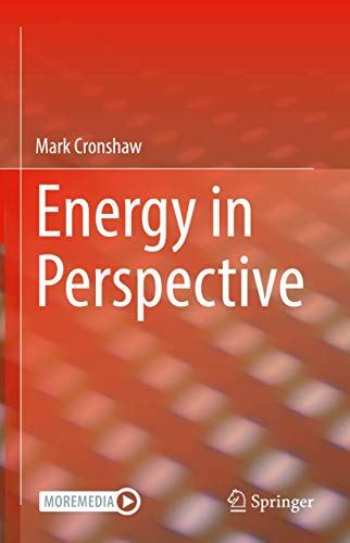 Energy in Perspective [Hardcover]