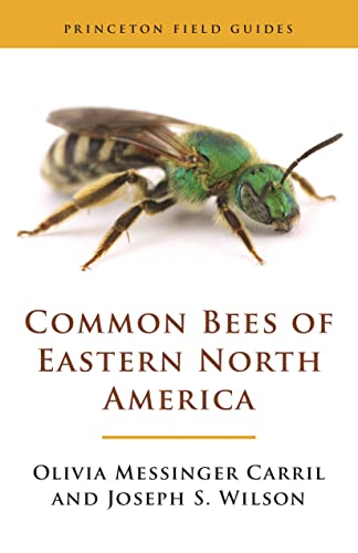 Common Bees of Eastern North America [Paperback]