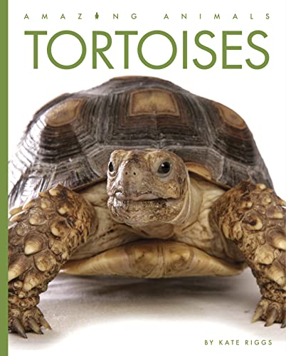 Tortoises [Paperback]