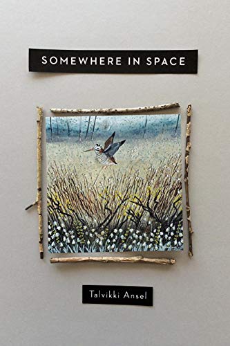 Somehere in Space [Paperback]