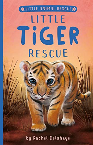 Little Tiger Rescue [Paperback]