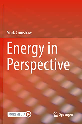 Energy in Perspective [Paperback]