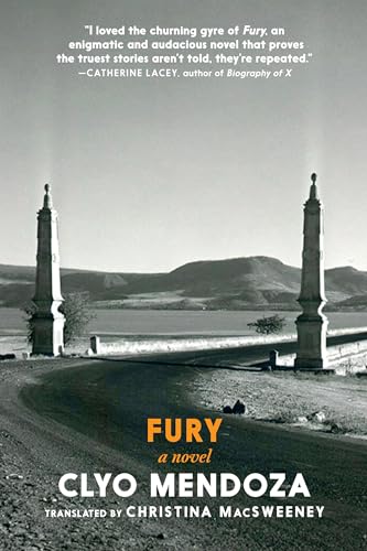 Fury: A Novel [Paperback]