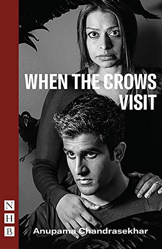 When the Crows Visit [Paperback]