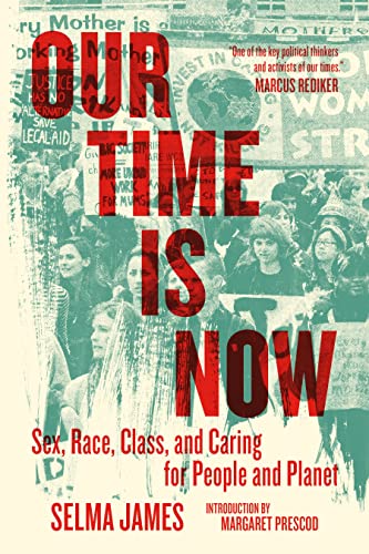 Our Time Is Now: Sex, Race, Class, and Caring for People and Planet [Paperback]