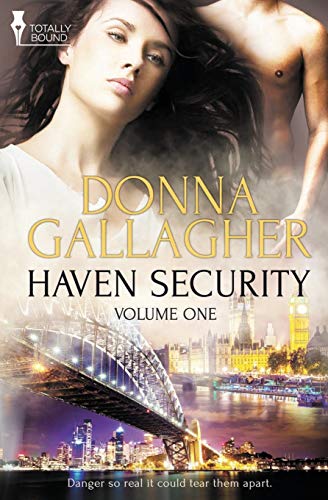 Haven Security Vol 1 [Paperback]