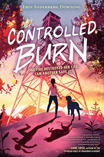 Controlled Burn [Hardcover]