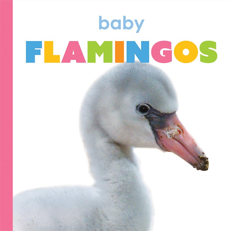 Baby Flamingos [Paperback]