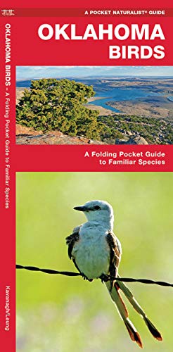 Oklahoma Birds: A Folding Pocket Guide to Familiar Species [Pamphlet]