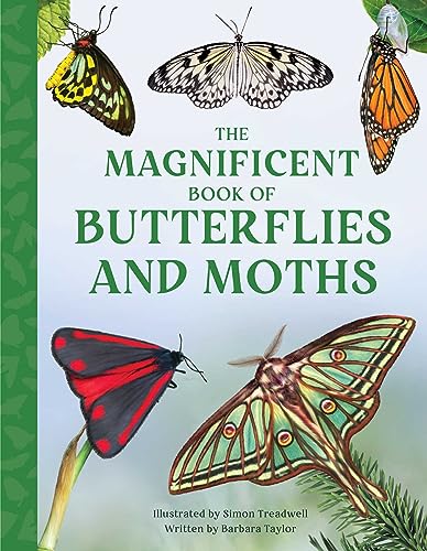 The Magnificent Book of Butterflies & Moths [Hardcover]