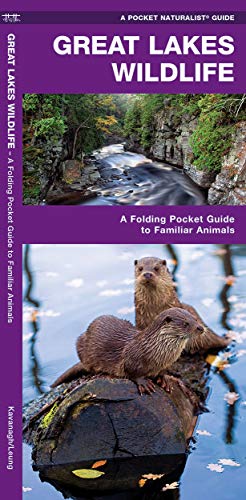 Great Lakes Wildlife: A Folding Pocket Guide to Familiar Species [Pamphlet]