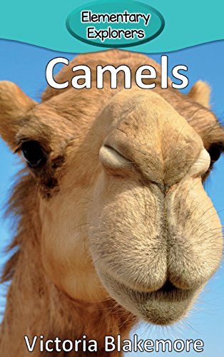 Camels (elementary Explorers) [Hardcover]