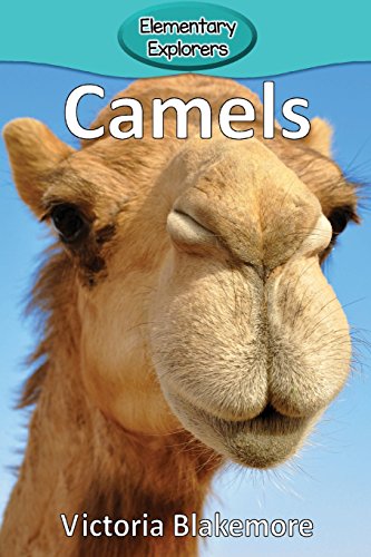 Camels (elementary Explorers) [Paperback]