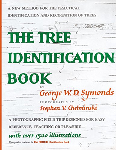 Tree Identification [Paperback]