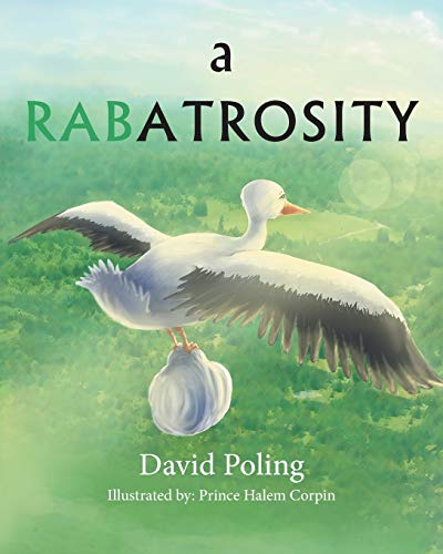 A Rabatrosity [Paperback]