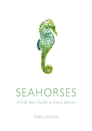 Seahorses A Life-Size Guide to Every Species [Hardcover]