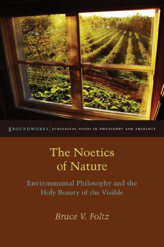 The Noetics of Nature Environmental Philosophy and the Holy Beauty of the Visib [Hardcover]