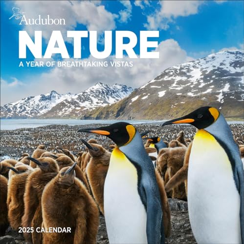 Audubon Nature Wall Calendar 2025: A Year of Breathtaking Vistas [Calendar]