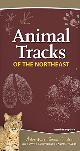 Animal Tracks of the Northeast: Your Way to Easily Identify Animal Tracks [Spiral bound]