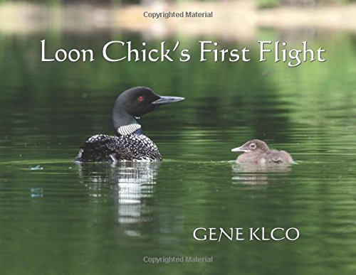 Loon Chick's First Flight [Paperback]