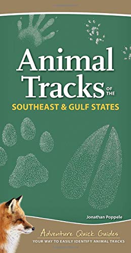 Animal Tracks of the Southeast & Gulf States: