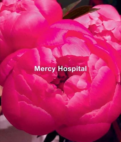 Ida Applebroog: Mercy Hospital [Hardcover]