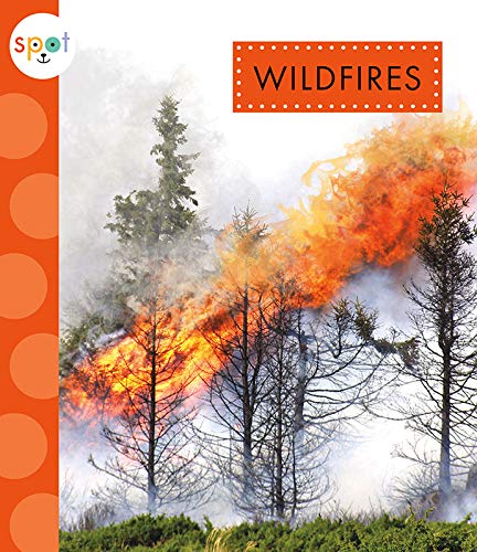 Wildfires [Paperback]