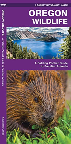 Oregon Wildlife: A Folding Pocket Guide to Familiar Animals [Pamphlet]