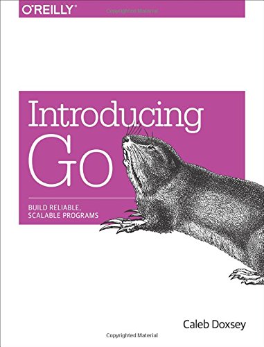 Introducing Go Build Reliable, Scalable Programs [Paperback]