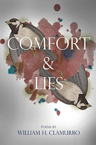 Comfort & Lies [Paperback]