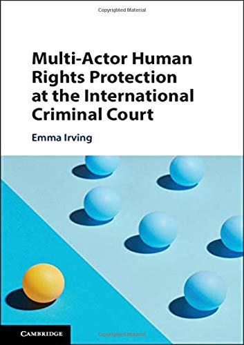 Multi-Actor Human Rights Protection at the In