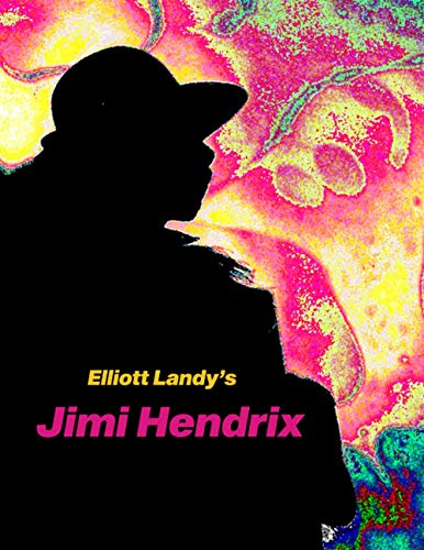 Elliott Landy's Jimi Hendrix [Paperback]