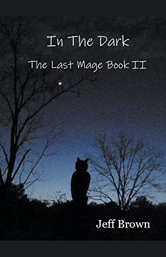 In the Dark  The Last Mage Book II [Paperback]