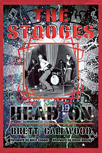 The Stooges Head On A Journey Through The Michigan Underground (painted Turtle [Paperback]