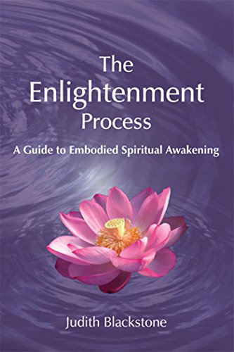 Enlightenment Process [Paperback]