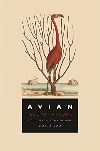 Avian Illuminations: A Cultural History of Birds [Hardcover]