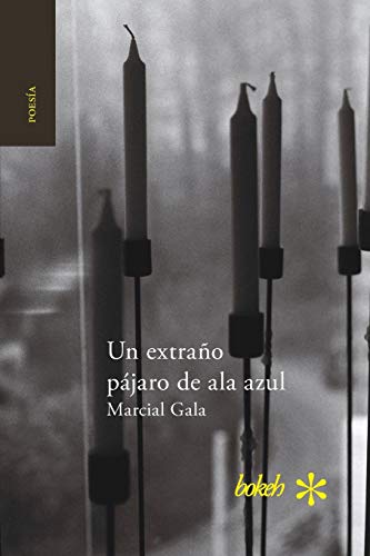 Un Extrao Pjaro De Ala Azul (spanish Edition) [Paperback]