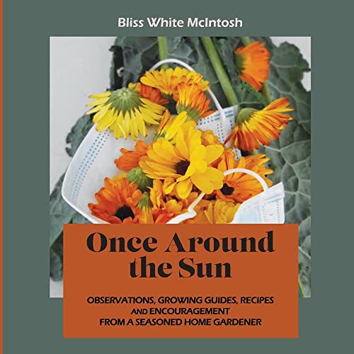 Once Around the Sun [Paperback]