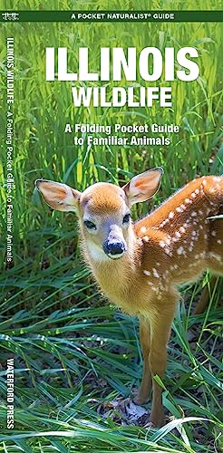 Illinois Wildlife: A Folding Pocket Guide to Familiar Species [Pamphlet]