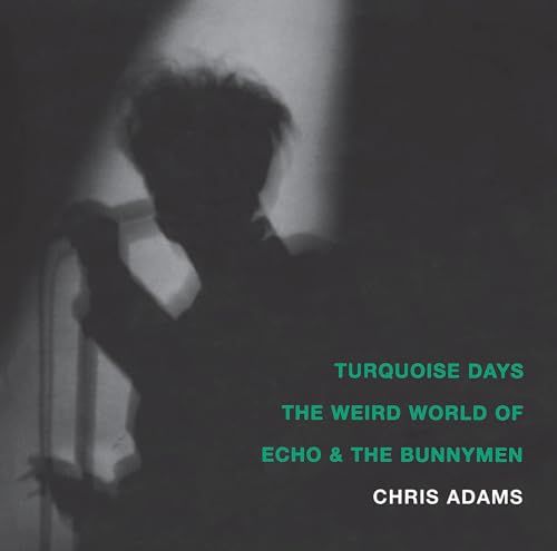 Turquoise Days: The Weird World of Echo and the Bunnymen [Paperback]