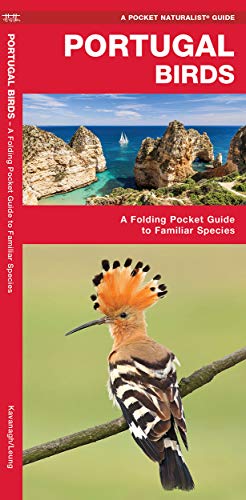 Portugal Birds: A Folding Pocket Guide to Familiar Species [Pamphlet]