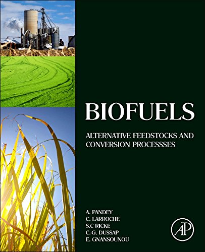 Biofuels Alternative Feedstocks and Conversion Processes [Hardcover]