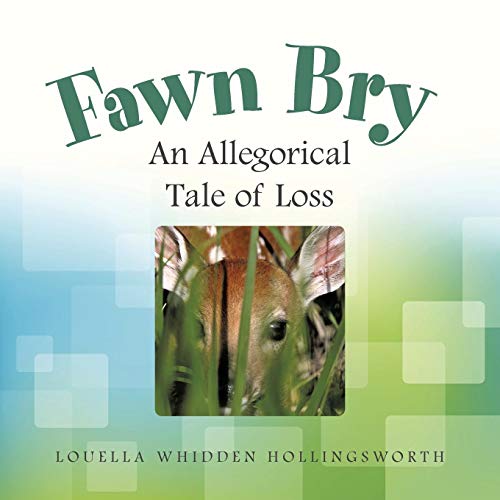 Fan Bry An Allegorical Tale Of Loss [Paperback]