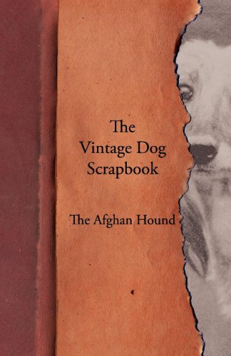 Vintage Dog Scrapbook - the Afghan Hound [Paperback]