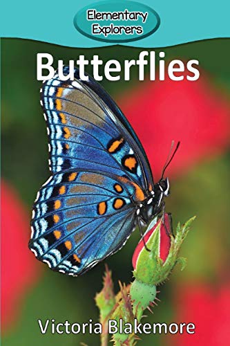 Butterflies [Paperback]