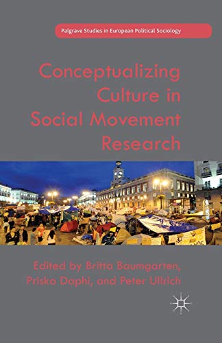 Conceptualizing Culture in Social Movement Research [Paperback]