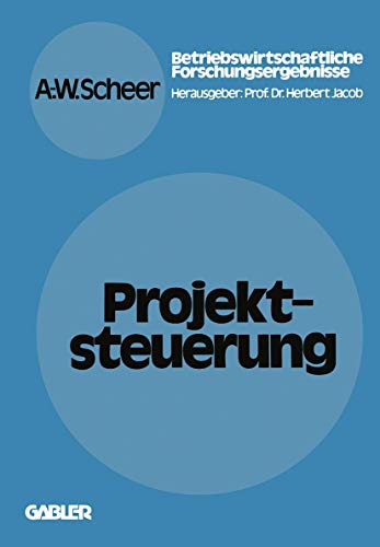 Projektsteuerung [Paperback]